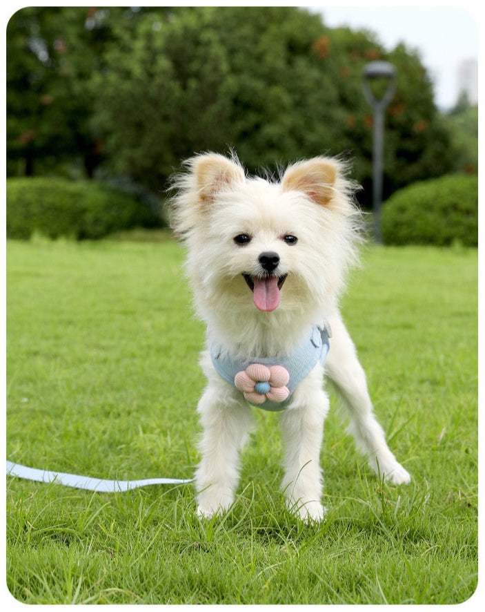 SnugPaw Harness & Leash Set - Animal & Pet Supplies - Boopawdoo