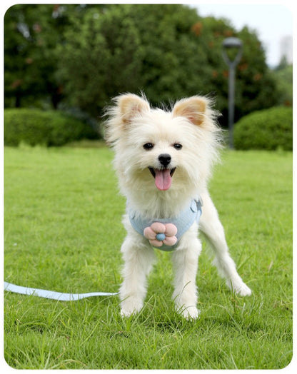 SnugPaw Harness & Leash Set - Animal & Pet Supplies - Boopawdoo