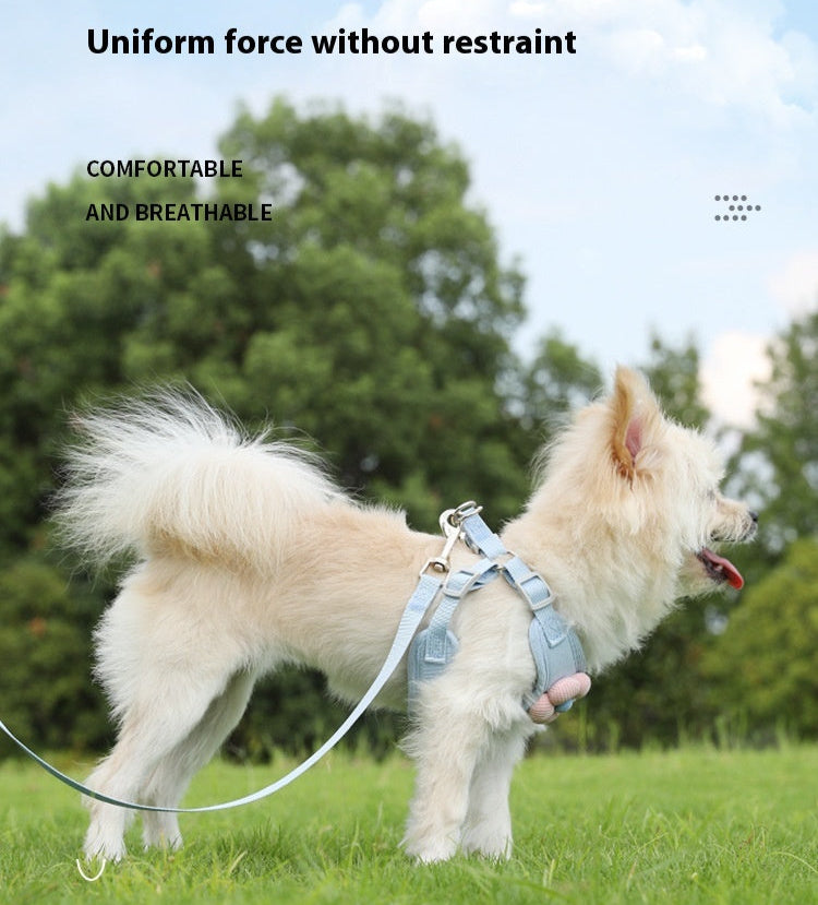 SnugPaw Harness & Leash Set - Animal & Pet Supplies - Boopawdoo