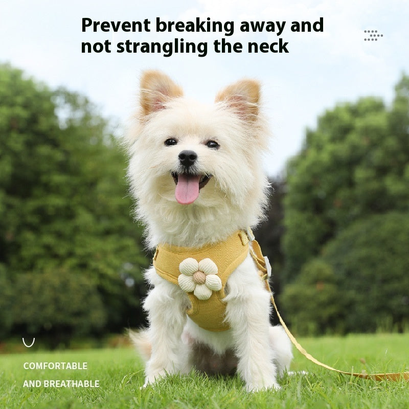 SnugPaw Harness & Leash Set - Animal & Pet Supplies - Boopawdoo