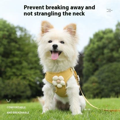 SnugPaw Harness & Leash Set - Animal & Pet Supplies - Boopawdoo
