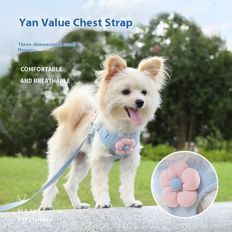 SnugPaw Harness & Leash Set - Animal & Pet Supplies - Boopawdoo