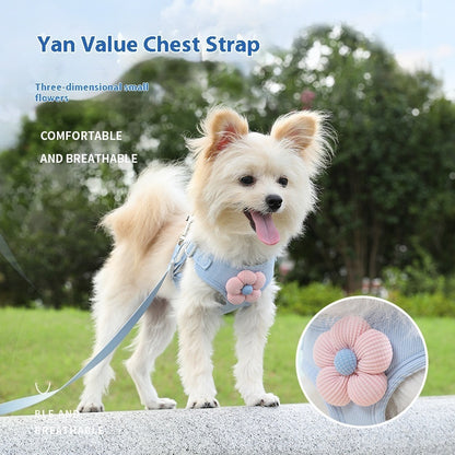 SnugPaw Harness & Leash Set - Animal & Pet Supplies - Boopawdoo