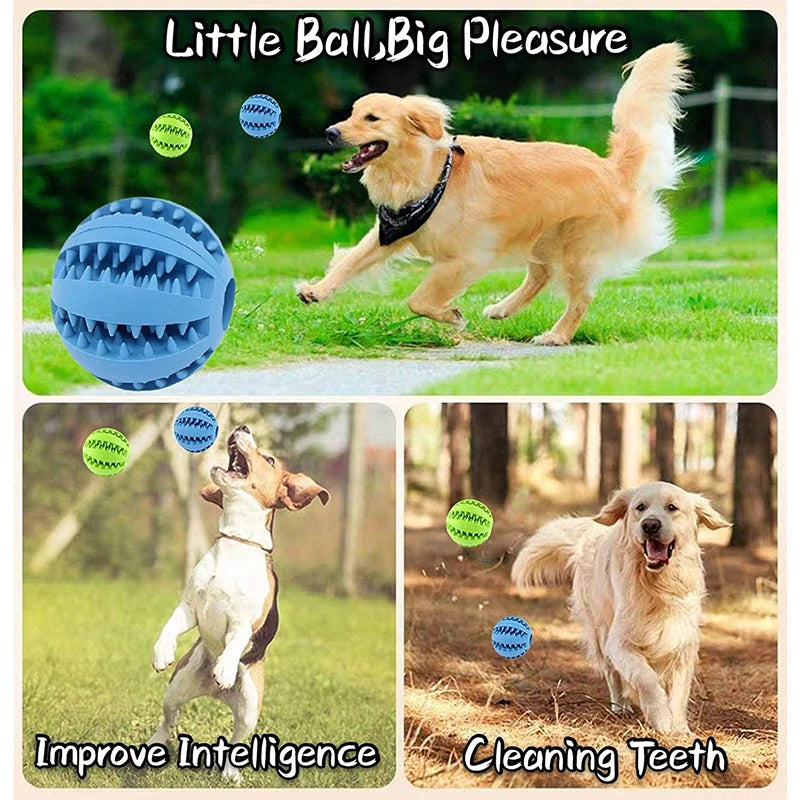 Boop-a-Treat Ball - Animal & Pet Supplies - Boopawdoo