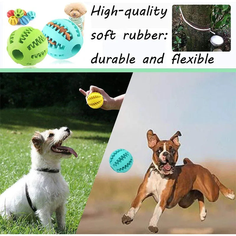 Boop-a-Treat Ball - Animal & Pet Supplies - Boopawdoo