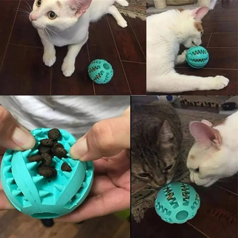 Boop-a-Treat Ball - Animal & Pet Supplies - Boopawdoo