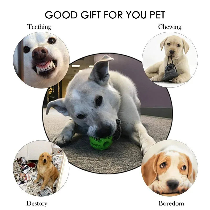 Boop-a-Treat Ball - Animal & Pet Supplies - Boopawdoo