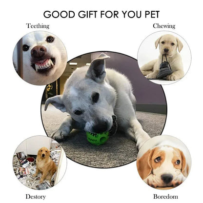 Boop-a-Treat Ball - Animal & Pet Supplies - Boopawdoo