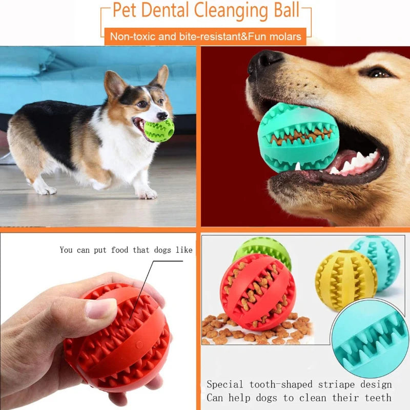Boop-a-Treat Ball - Animal & Pet Supplies - Boopawdoo