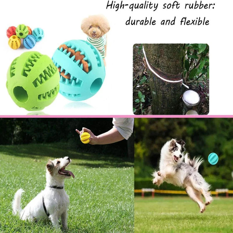 Boop-a-Treat Ball - Animal & Pet Supplies - Boopawdoo