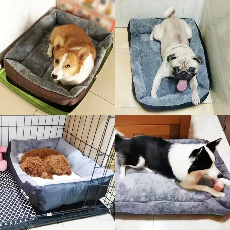 Pawfect Plush Lounger - Animal & Pet Supplies - Boopawdoo