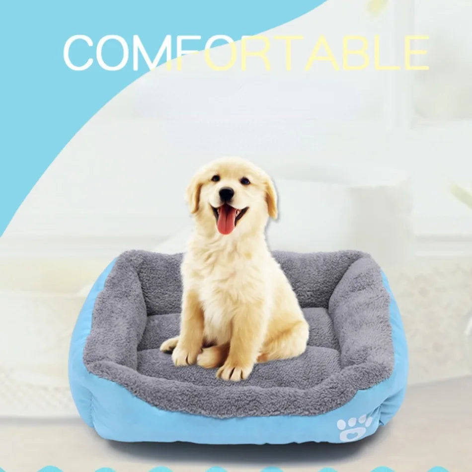 Pawfect Plush Lounger - Animal & Pet Supplies - Boopawdoo