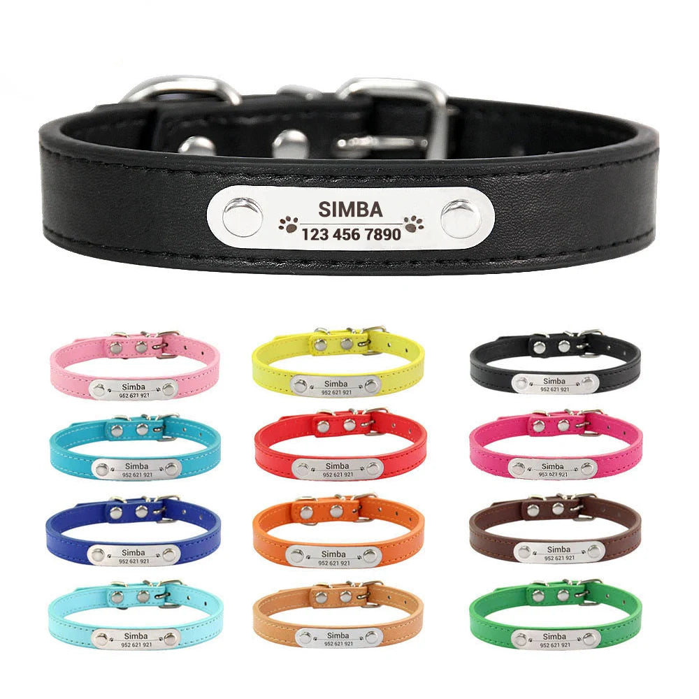 BoopTag ID Collar - Animal & Pet Supplies - Boopawdoo