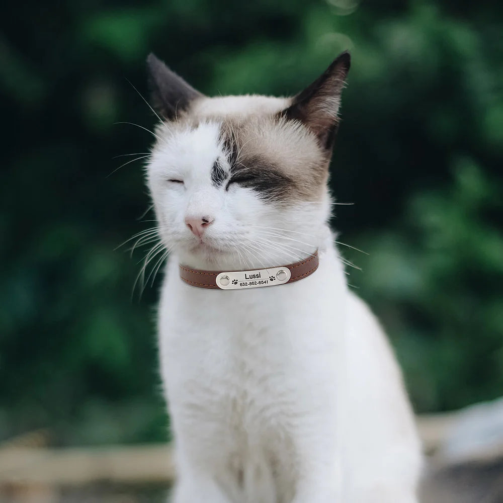 BoopTag ID Collar - Animal & Pet Supplies - Boopawdoo