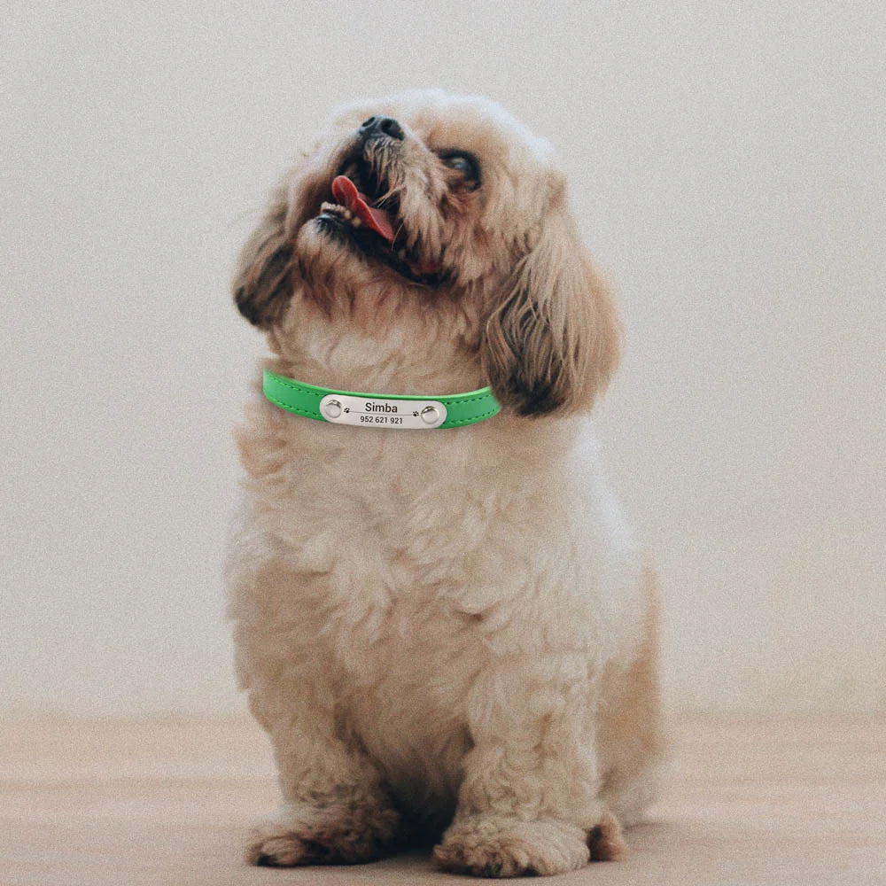 BoopTag ID Collar - Animal & Pet Supplies - Boopawdoo