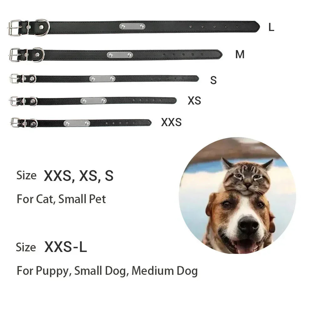 BoopTag ID Collar - Animal & Pet Supplies - Boopawdoo