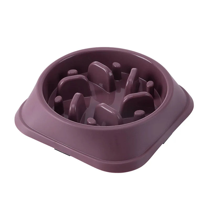 NomNom Slow Chow Bowl - Animal & Pet Supplies - Boopawdoo
