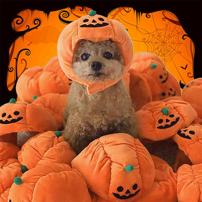PumpkinPaw Party Hat - Animal & Pet Supplies - Boopawdoo