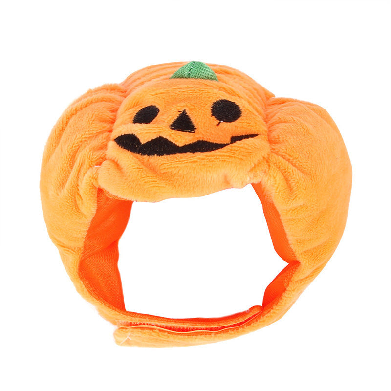 PumpkinPaw Party Hat - Animal & Pet Supplies - Boopawdoo
