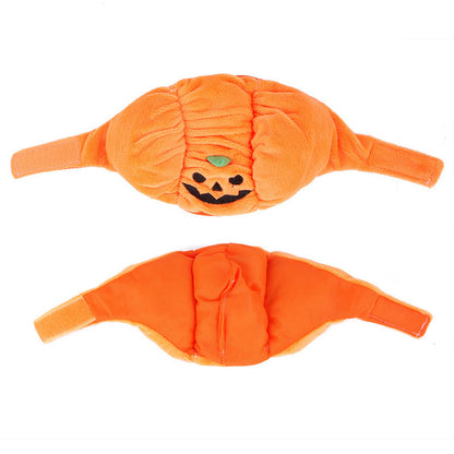 PumpkinPaw Party Hat - Animal & Pet Supplies - Boopawdoo
