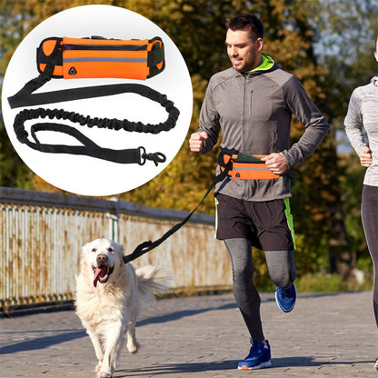BoopWalk Purse Leash - Animal & Pet Supplies - Boopawdoo