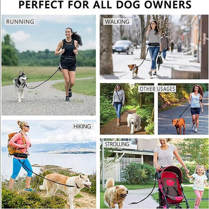 BoopWalk Purse Leash - Animal & Pet Supplies - Boopawdoo