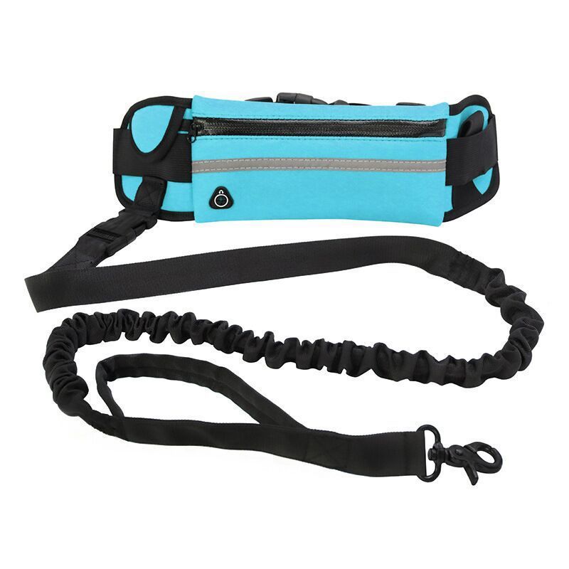 BoopWalk Purse Leash - Animal & Pet Supplies - Boopawdoo