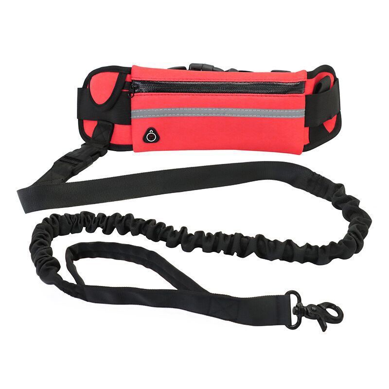 BoopWalk Purse Leash - Animal & Pet Supplies - Boopawdoo