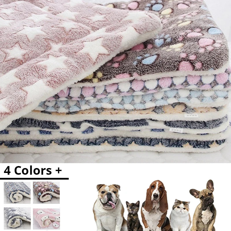 CuddleBear Pet Blanket - Animal & Pet Supplies - Boopawdoo