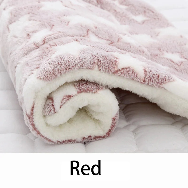 CuddleBear Pet Blanket - Animal & Pet Supplies - Boopawdoo