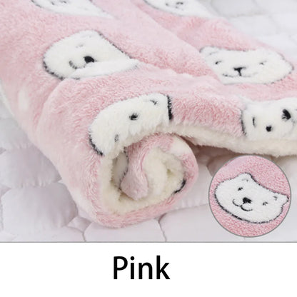 CuddleBear Pet Blanket - Animal & Pet Supplies - Boopawdoo