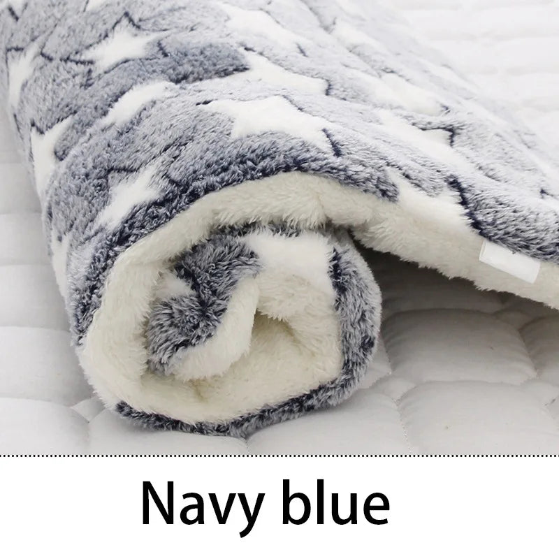 CuddleBear Pet Blanket - Animal & Pet Supplies - Boopawdoo