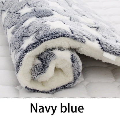 CuddleBear Pet Blanket - Animal & Pet Supplies - Boopawdoo