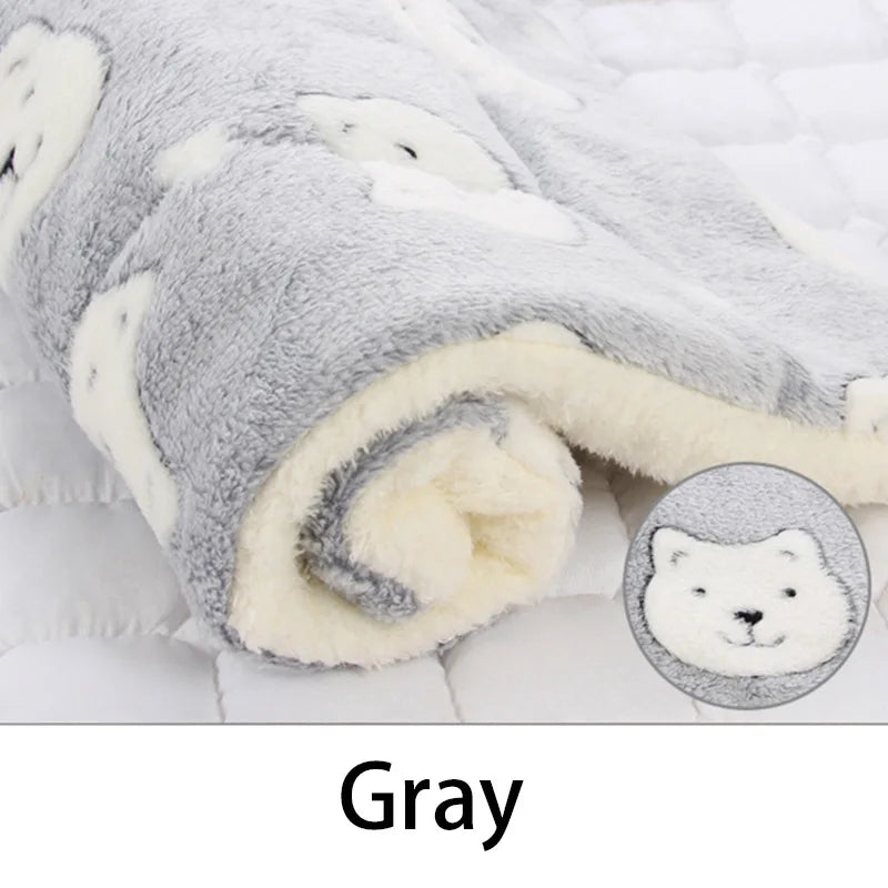 CuddleBear Pet Blanket - Animal & Pet Supplies - Boopawdoo