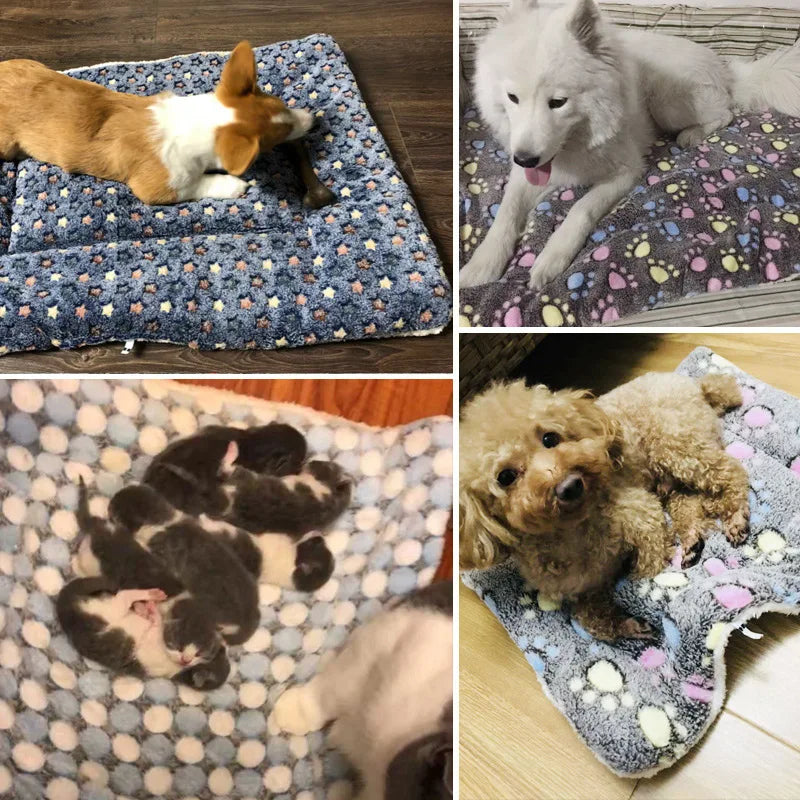 CuddleBear Pet Blanket - Animal & Pet Supplies - Boopawdoo