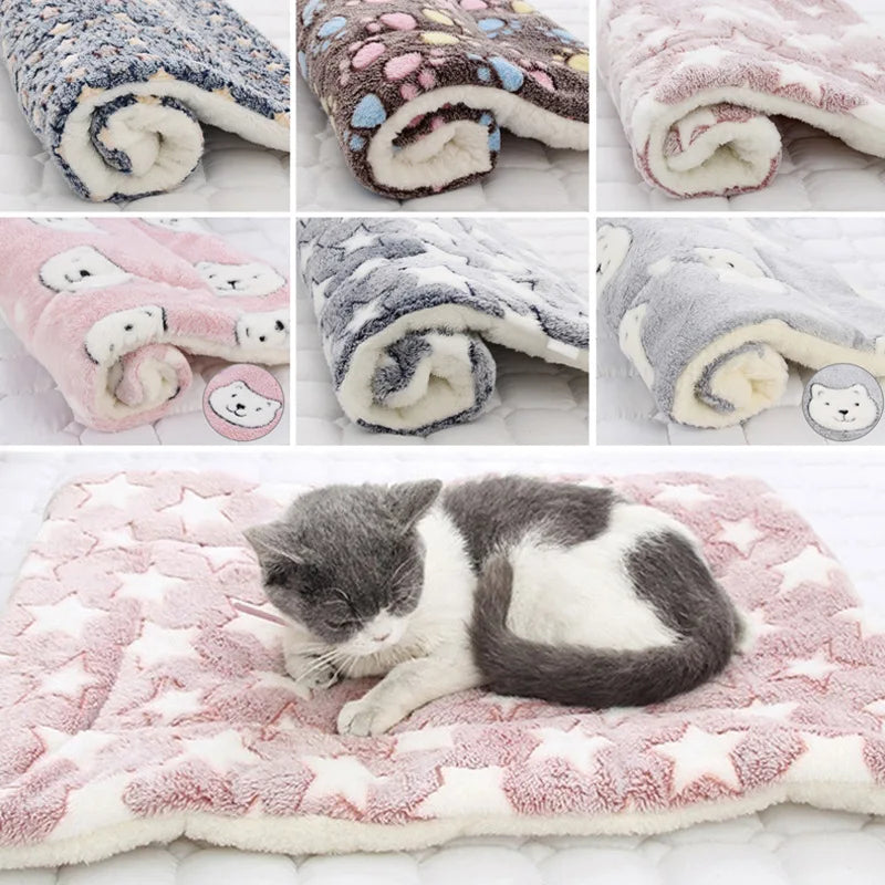 CuddleBear Pet Blanket - Animal & Pet Supplies - Boopawdoo