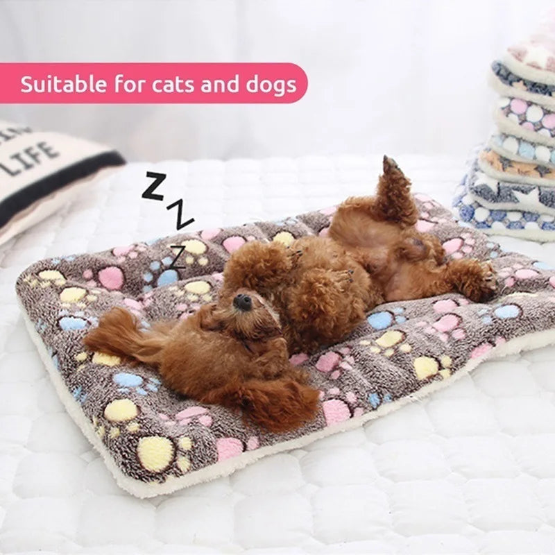 CuddleBear Pet Blanket - Animal & Pet Supplies - Boopawdoo