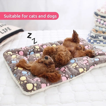 CuddleBear Pet Blanket - Animal & Pet Supplies - Boopawdoo