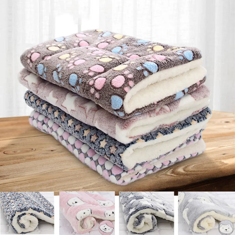 CuddleBear Pet Blanket - Animal & Pet Supplies - Boopawdoo
