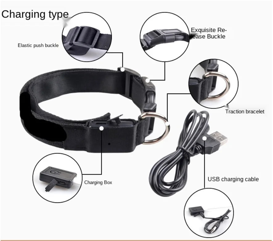 GlowPaw Safety Collar - Animal & Pet Supplies - Boopawdoo