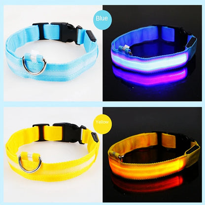 GlowPaw Safety Collar - Animal & Pet Supplies - Boopawdoo