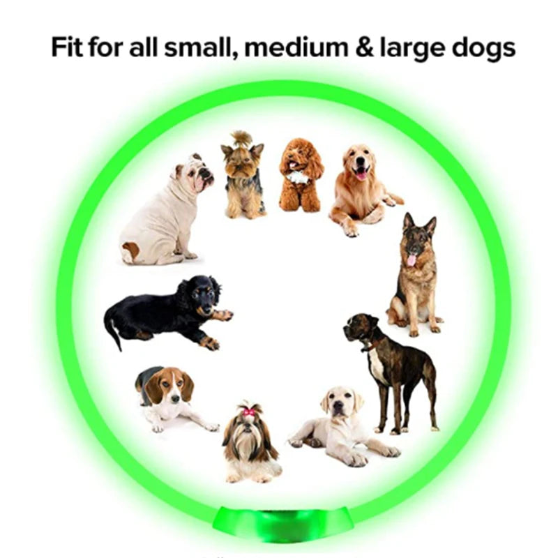 GlowPaw Safety Collar - Animal & Pet Supplies - Boopawdoo