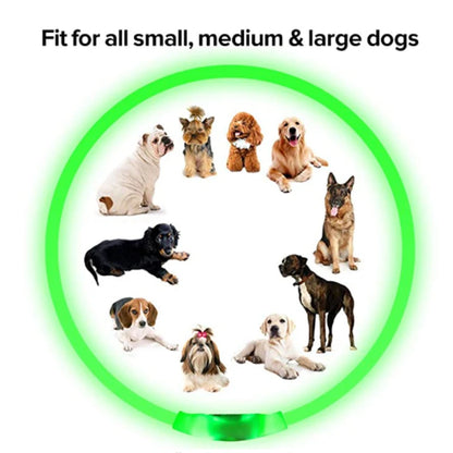 GlowPaw Safety Collar - Animal & Pet Supplies - Boopawdoo