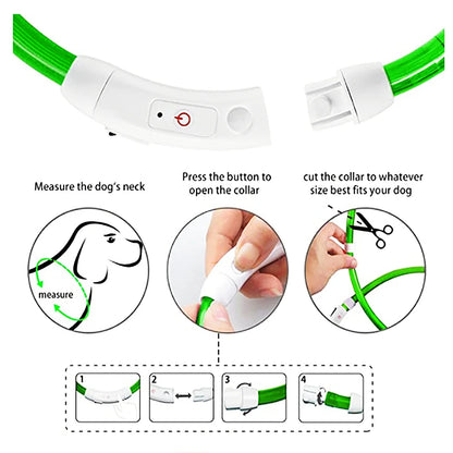 GlowPaw Safety Collar - Animal & Pet Supplies - Boopawdoo