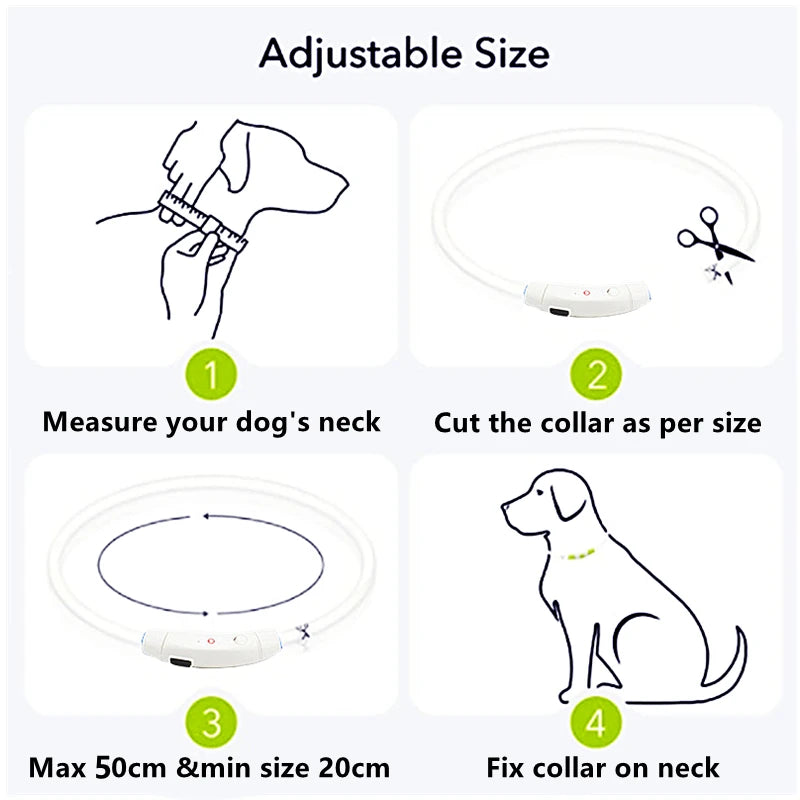 GlowPaw Safety Collar - Animal & Pet Supplies - Boopawdoo