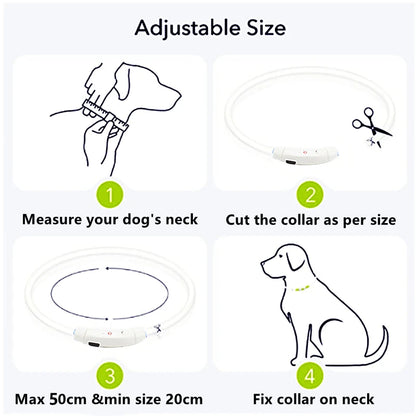 GlowPaw Safety Collar - Animal & Pet Supplies - Boopawdoo