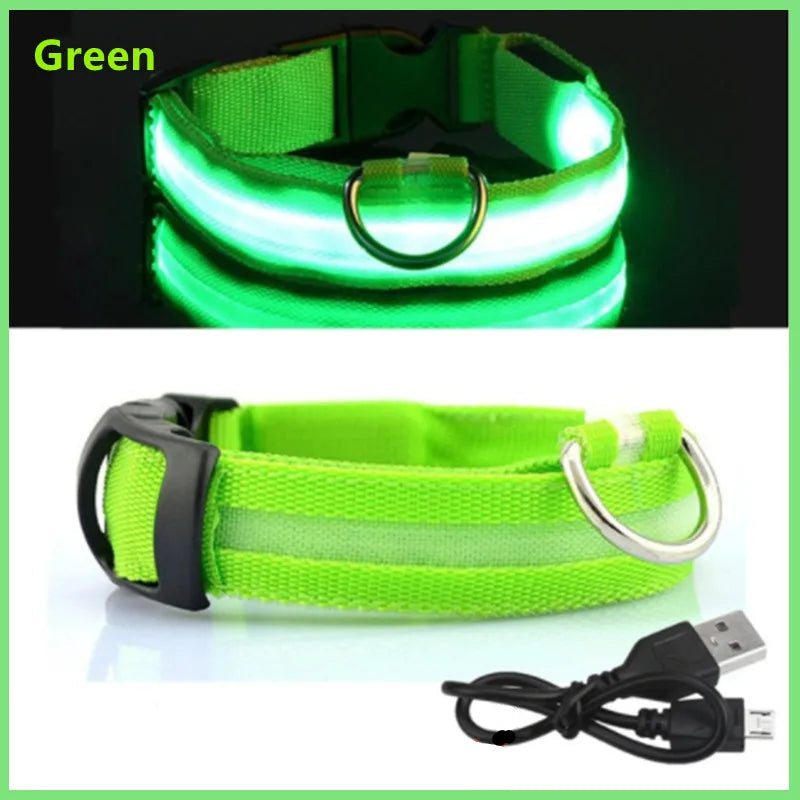 GlowPaw Safety Collar - Animal & Pet Supplies - Boopawdoo