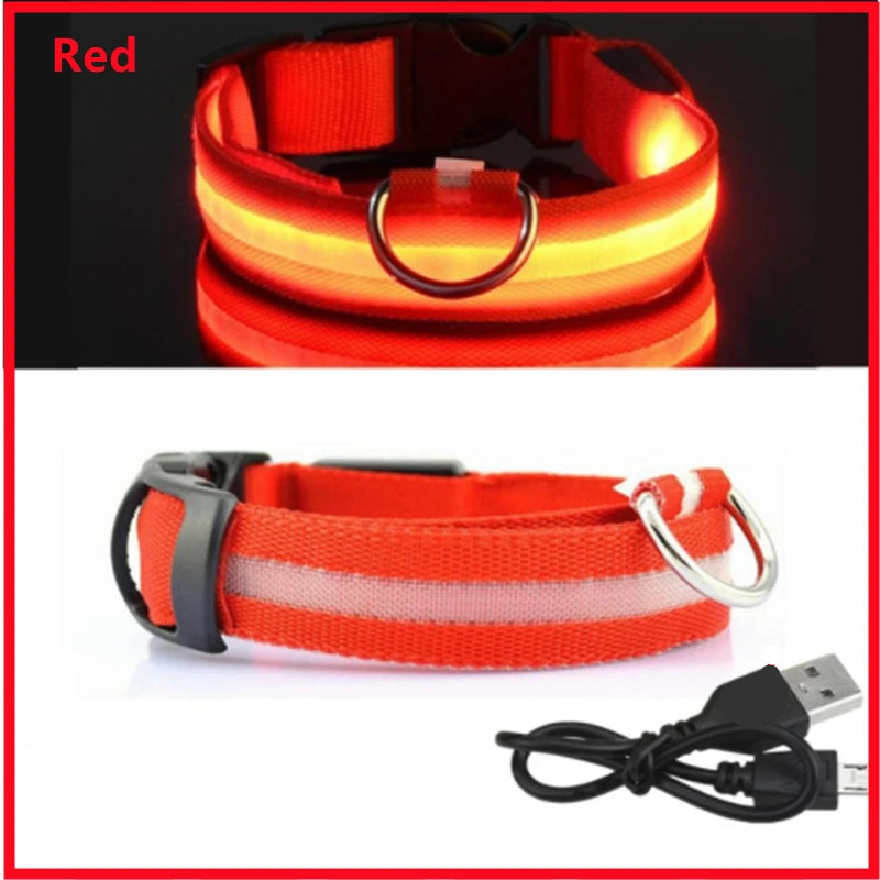 GlowPaw Safety Collar - Animal & Pet Supplies - Boopawdoo
