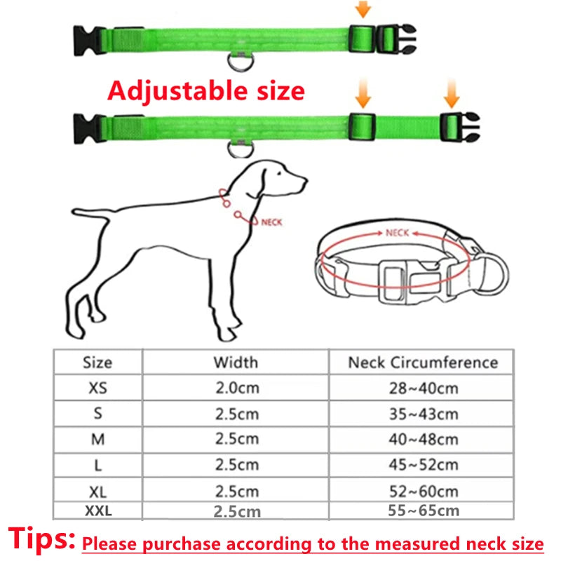GlowPaw Safety Collar - Animal & Pet Supplies - Boopawdoo