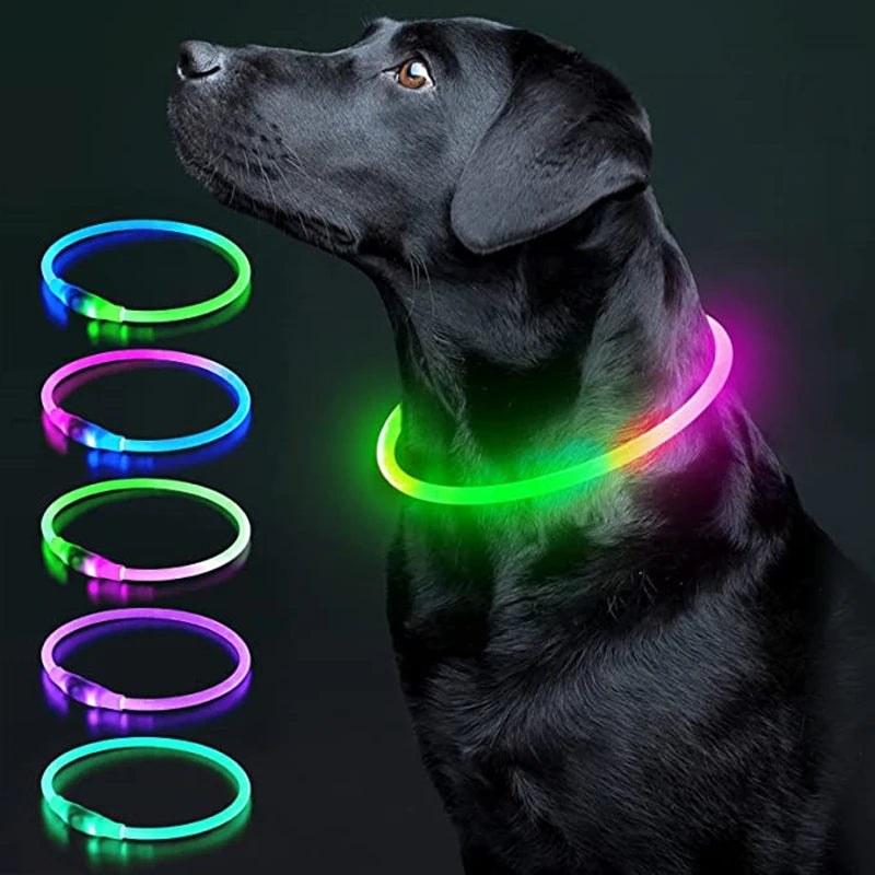 GlowPaw Safety Collar - Animal & Pet Supplies - Boopawdoo